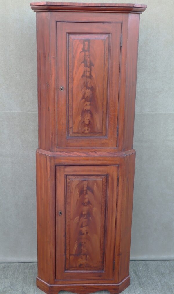 Victorian period Scottish Scumble glazed Corner cabinet.