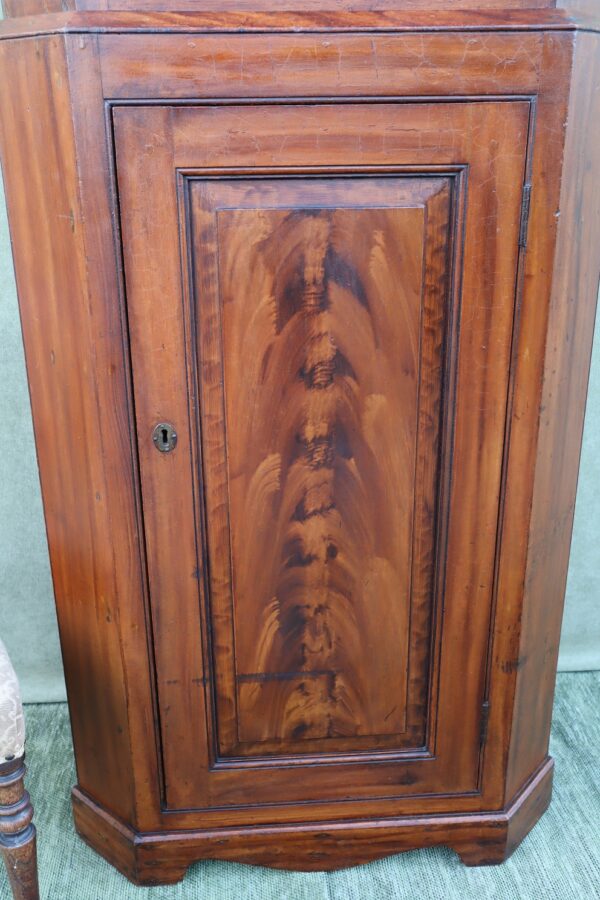 Victorian period Scottish Scumble glazed Corner cabinet.
